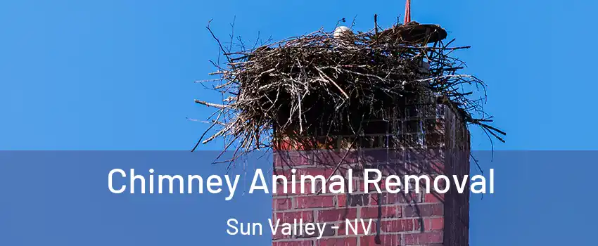 Chimney Animal Removal Sun Valley - NV