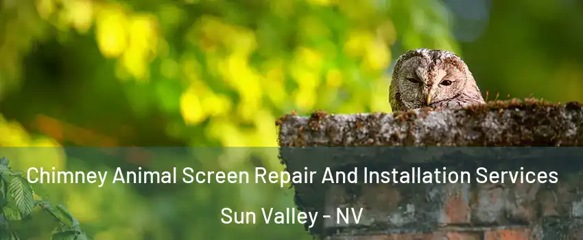  Chimney Animal Screen Repair And Installation Services Sun Valley - NV