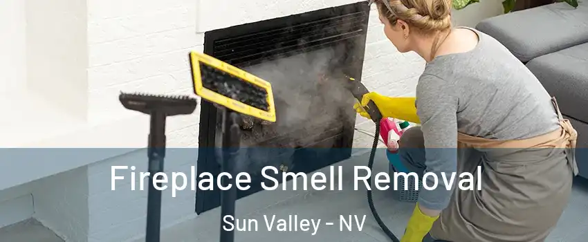  Fireplace Smell Removal Sun Valley - NV