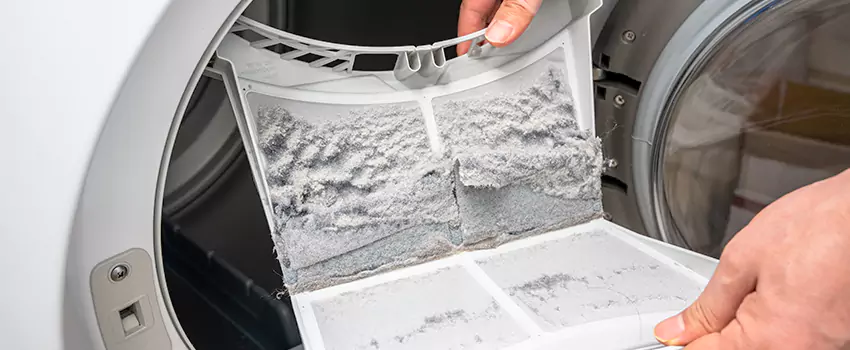 Best Dryer Lint Removal Company in Sun Valley, Nevada