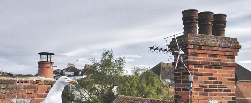 Chimney Cleaning And Restoration in Sun Valley, Nevada